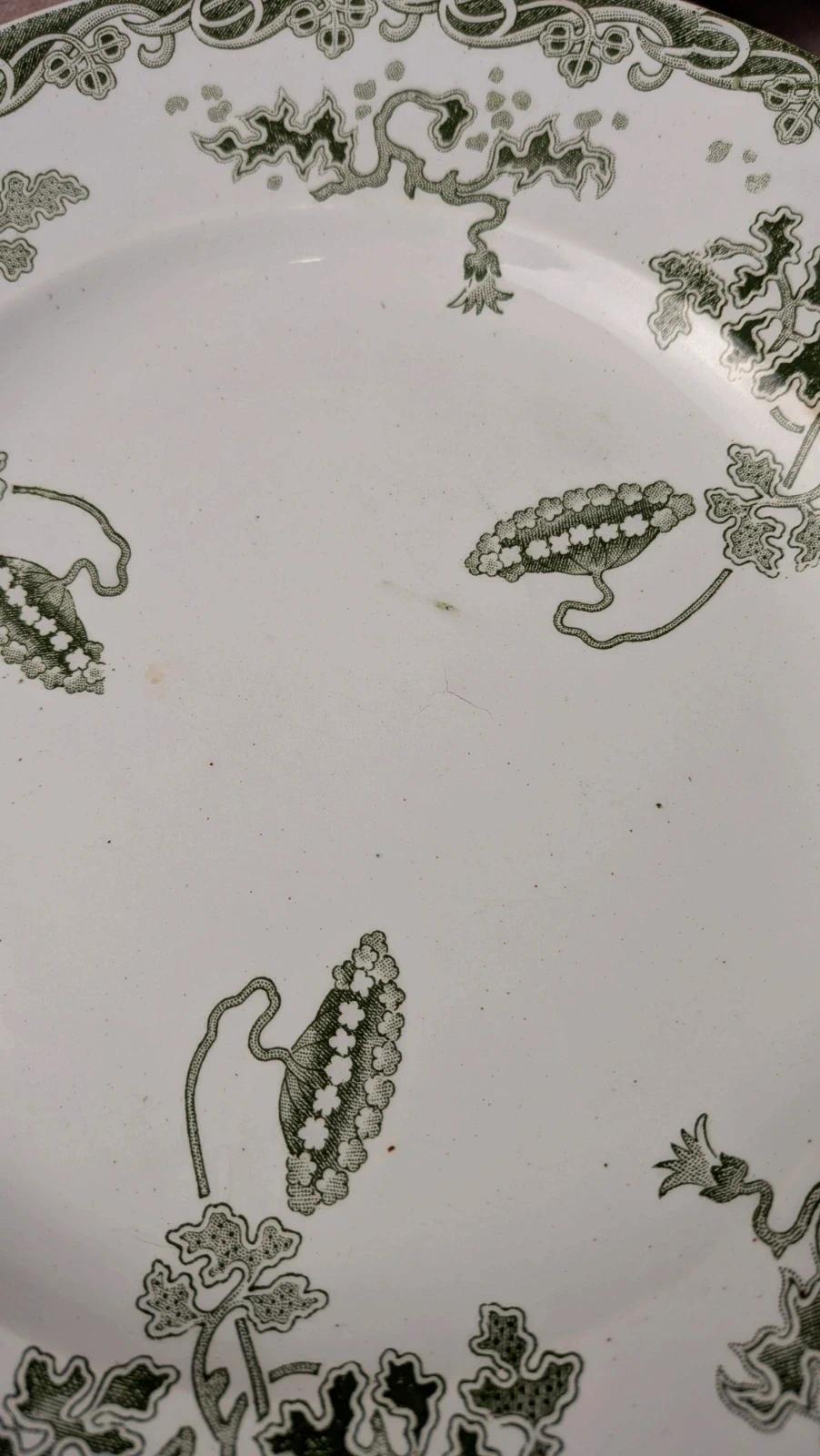 Lot 12 assiettes plates Terre de Fer Saint-amand modèle Modern Style 22 cm