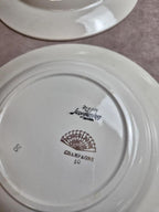 7 assiettes creuses Digoin Sarreguemines Champagne – Porcelaine opaque – Terre de fer vintage