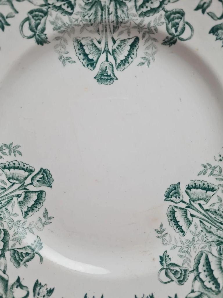 Assiette plate ancienne Terre de fer A. Lebacqz & M. Bouchard – décor Floral vert 💚