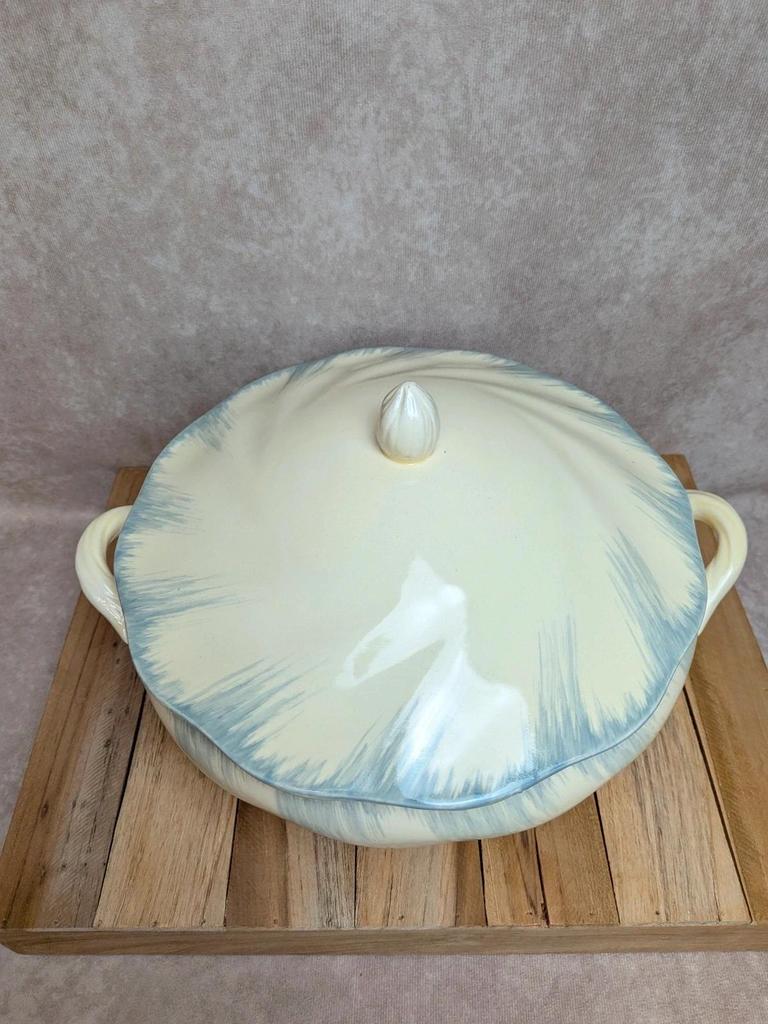 Soupière Terre de fer Salins décor bleu nuagé
