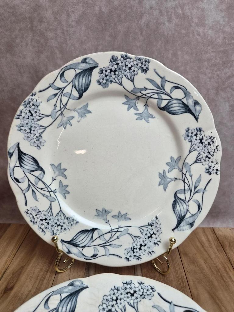 Lot de 2 assiettes terre de fer Longchamp modèle Lila Art nouveau 22 cm