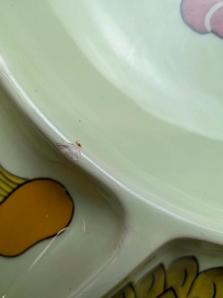 Plat compartiment vintage Déco Gourmet – crevettes & fruits – esprit années 60