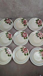 Lot de 9 assiettes creuses Sarreguemines modèle Liliane