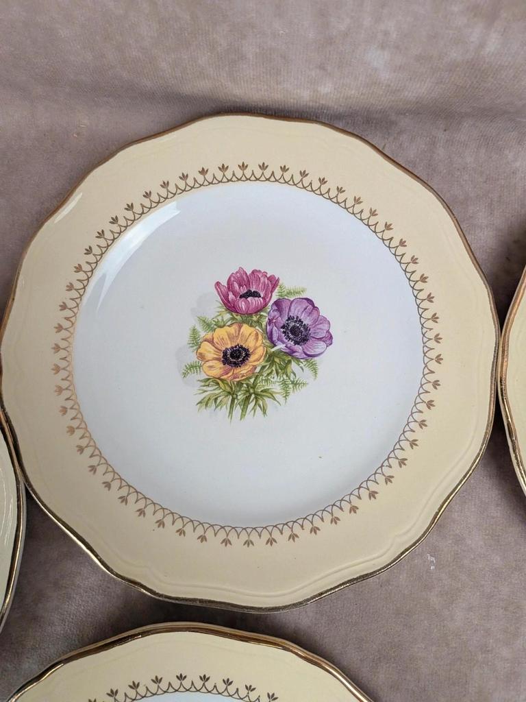Lot de 10 assiettes à dessert L’amandinoise Coopélia vintage