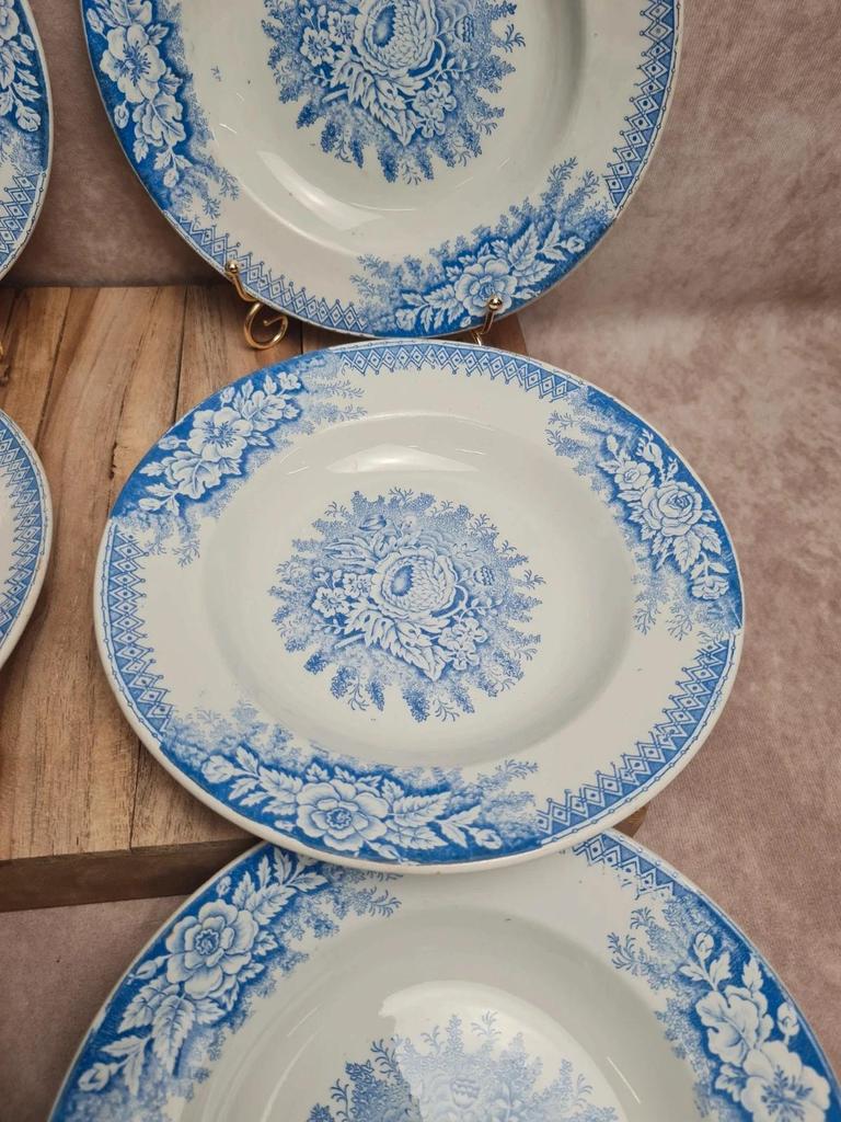 Lot de 9 assiettes creuses anciennes Saint-amand & Hamage modèle Jardinière 🌿