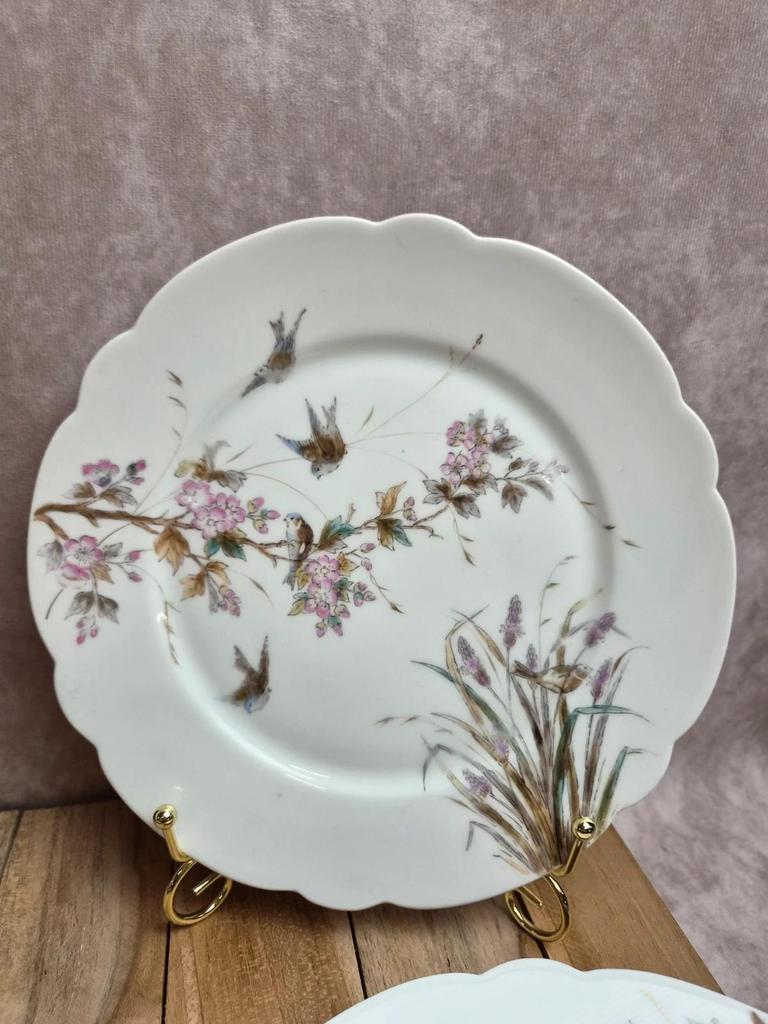 Lot de 7 assiettes anciennes en porcelaine – Décor oiseaux et fleurs polychromes