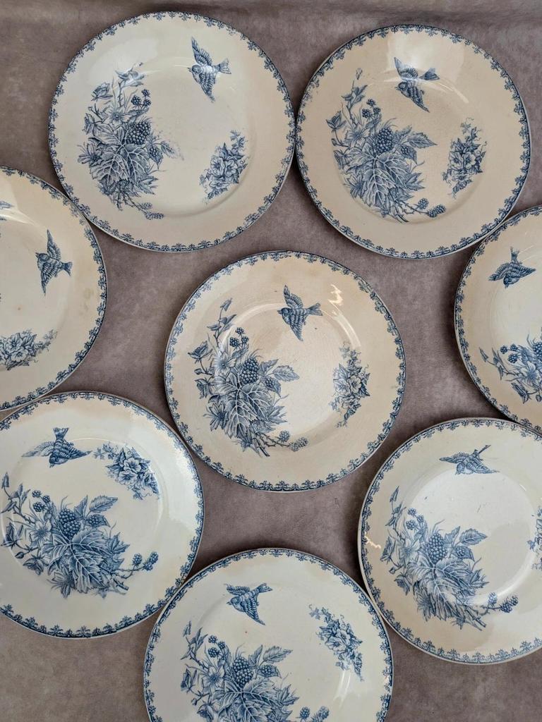 Lot de 8 assiettes Terre de Fer P.f Salvador – décor oiseaux & mûres