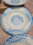 Lot de 9 assiettes creuses anciennes Saint-amand & Hamage modèle Jardinière 🌿