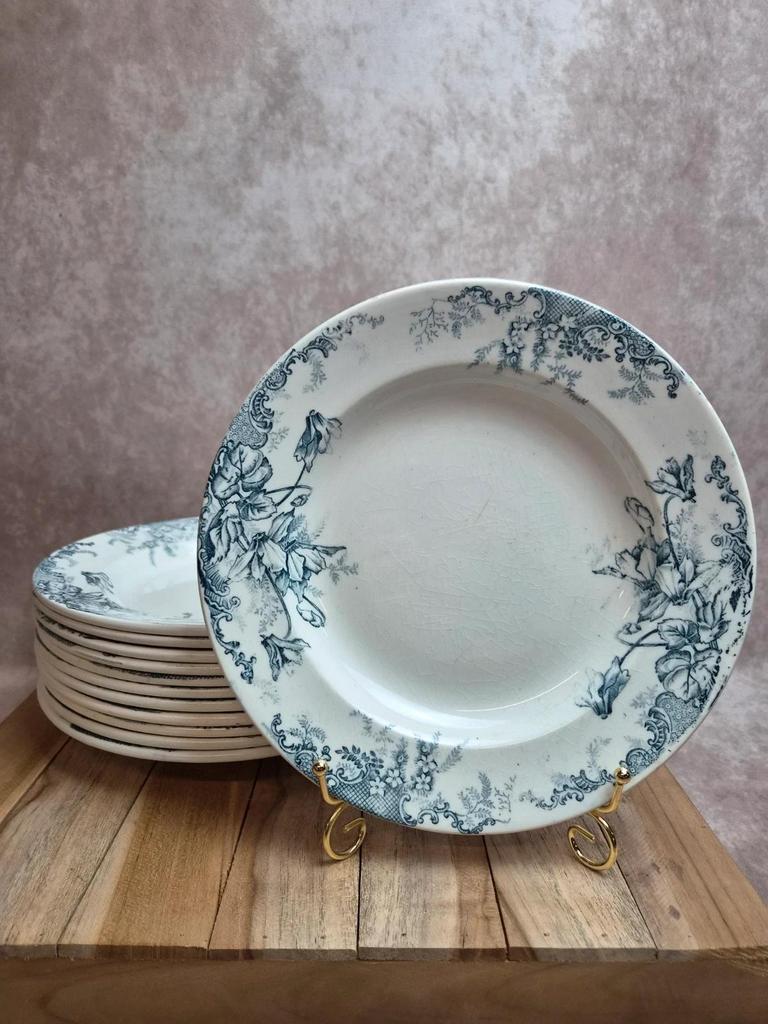 Lot de 12 assiettes Terre de Fer Clairefontaine Cyclamens