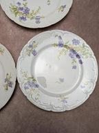 lot de 12 assiettes à dessert en porcelaine de Limoges Gda France – décor floral