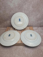 Lot 3 assiettes plates Terre de fer Saint-amand modèle Chinois bleu dépareillées