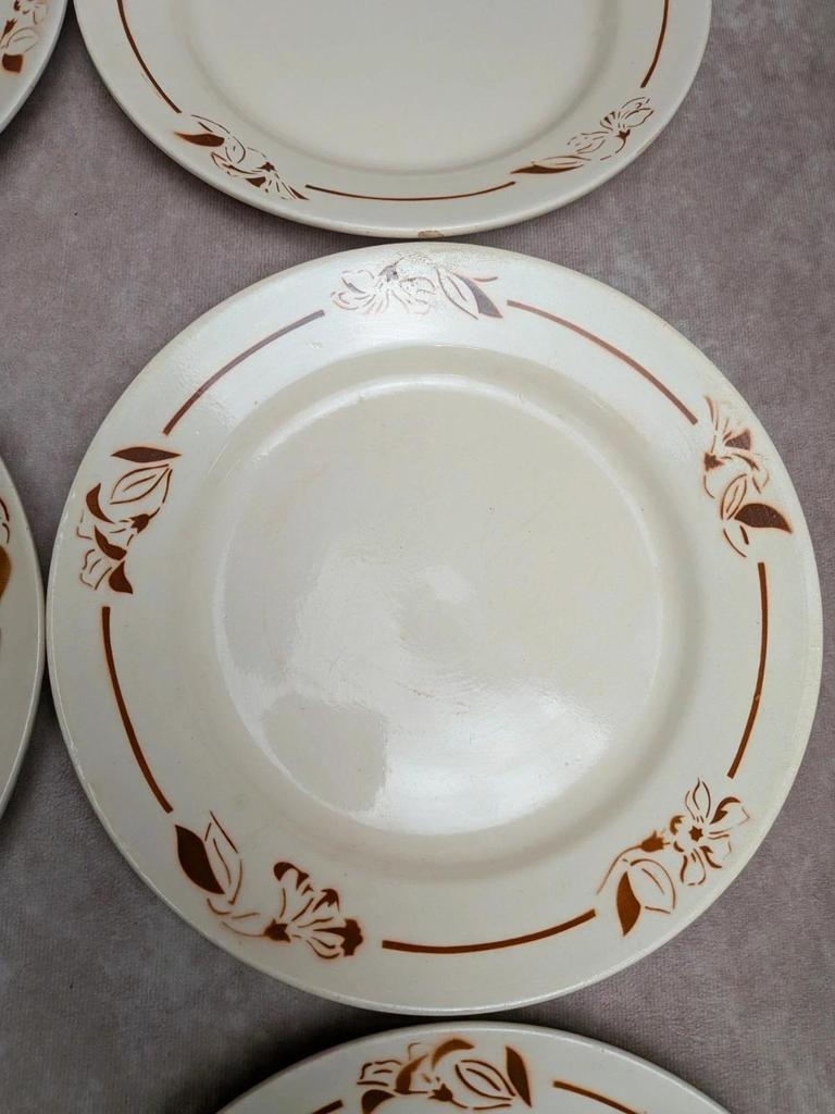 Lot de 6 assiettes terre de fer Hbcm Narcisse décor floral marron
