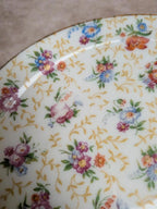 Lot de 9 assiettes à dessert anciennes en porcelaine fleurie