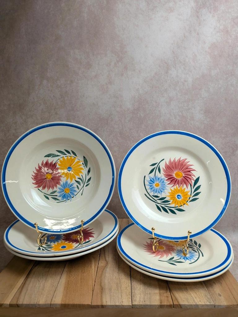 Lot de 6 assiettes en terre de fer Hbc – Modèle Rustique – Décor floral peint à la main