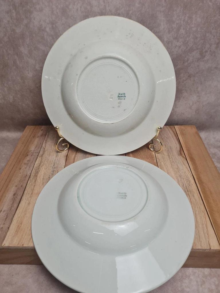 Lot de 2 assiettes creuses Kg Lunéville modèle Moselle 🌿🍂 terre de fer