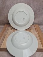 Lot de 2 assiettes creuses Kg Lunéville modèle Moselle 🌿🍂 terre de fer