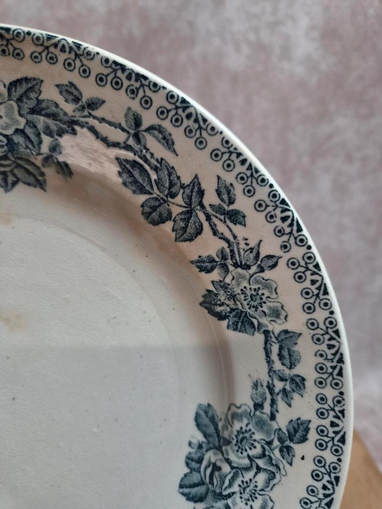 Assiette ancienne Terre de Fer – Service Guadeloupe – Établissements Debray