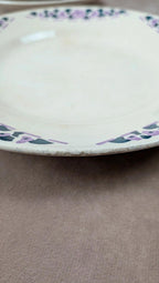 Lot 9 assiettes plates Longchamp Terre de Fer modèle Cannes