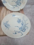Lot 4 assiettes à dessert anciennes Terre de Fer décor œillet bleu 💙