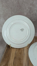 Lot de 2 assiettes anciennes Kg Lunéville modèle « Œillet »