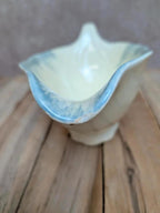 Saucière + plateau Terre de fer Salins décor bleu nuagé
