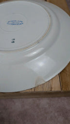 Lot de 2 assiettes plates Badonviller porcelaine opaque