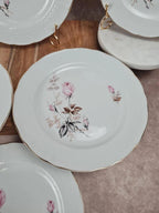 🩷 Lot de 6 assiettes en porcelaine Tognana – motif roses anciennes & liseré doré 🇮🇹