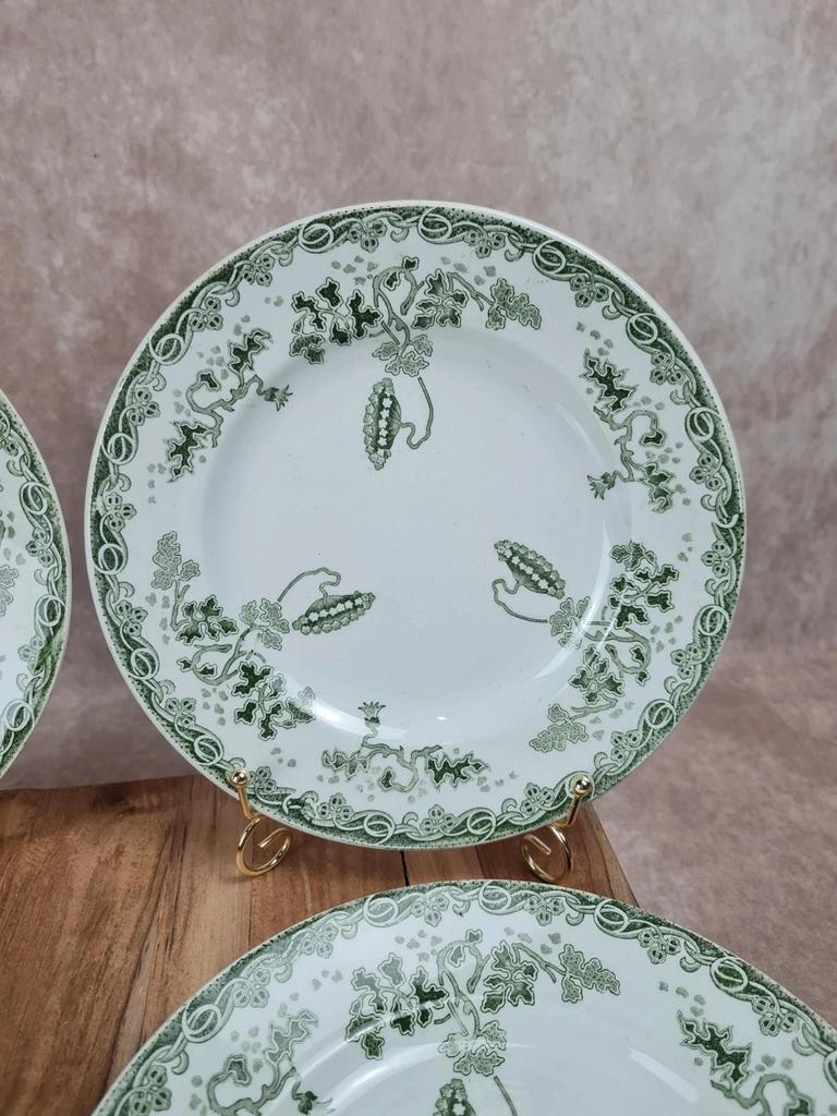 Lot de 6 assiettes Saint-amand & Hamage – Modèle Modern-style 🌿
