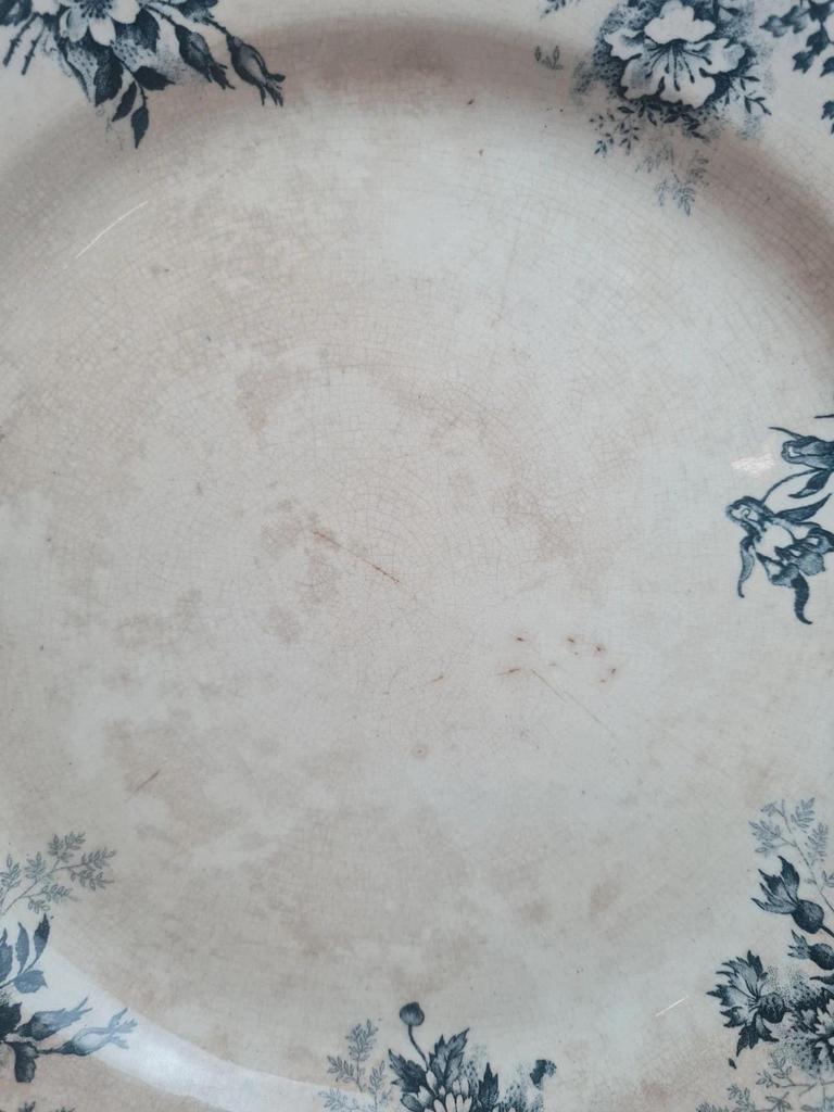 Plat ancien Terre de Fer Hb & Cie Choisy-le-roi modèle Floreal 32 cm