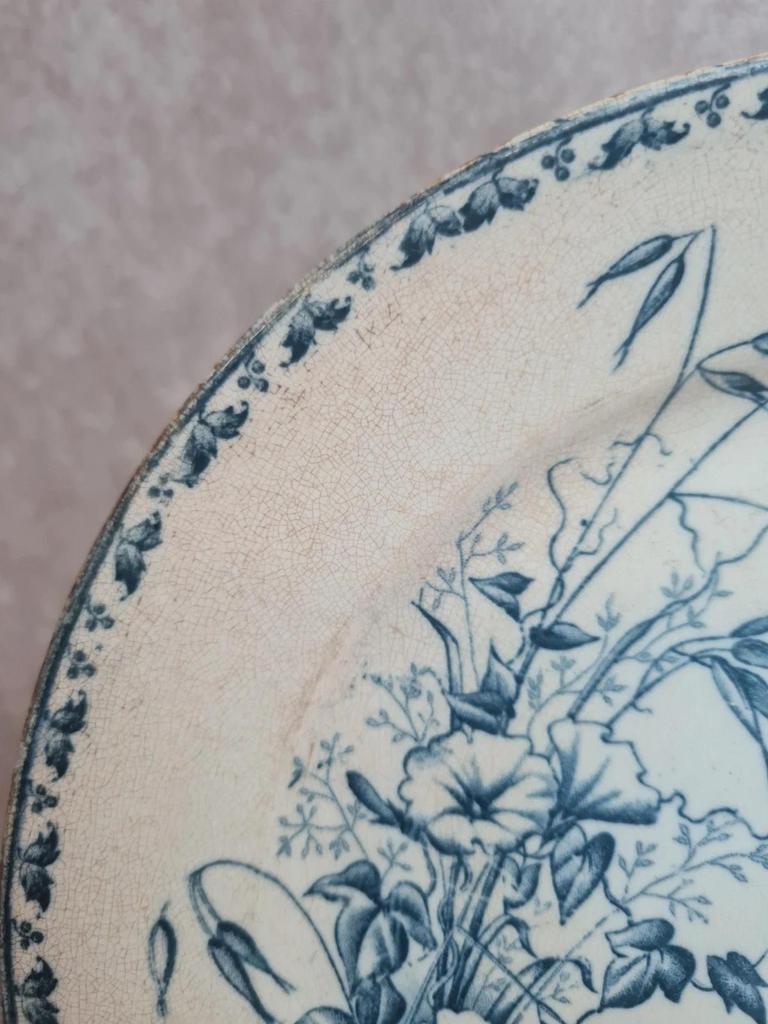 Assiette ancienne Terre de Fer Sarreguemines modèle Carmen Xixe 🌿🦋