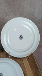 Lot de 3 assiettes anciennes Luneville décor floral & insectes