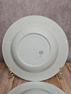 Lot de 2 assiettes creuses Kg Lunéville modèle Moselle 🌿🍂 terre de fer