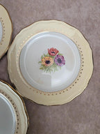 Lot de 10 assiettes à dessert L’amandinoise Coopélia vintage