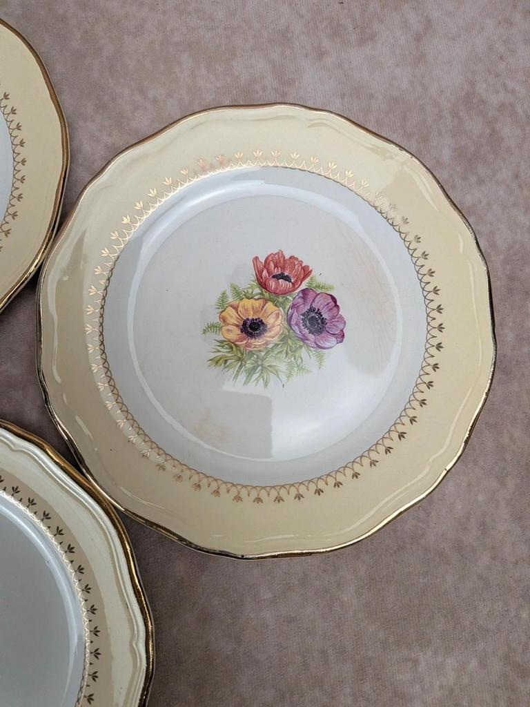 Lot de 10 assiettes à dessert L’amandinoise Coopélia vintage