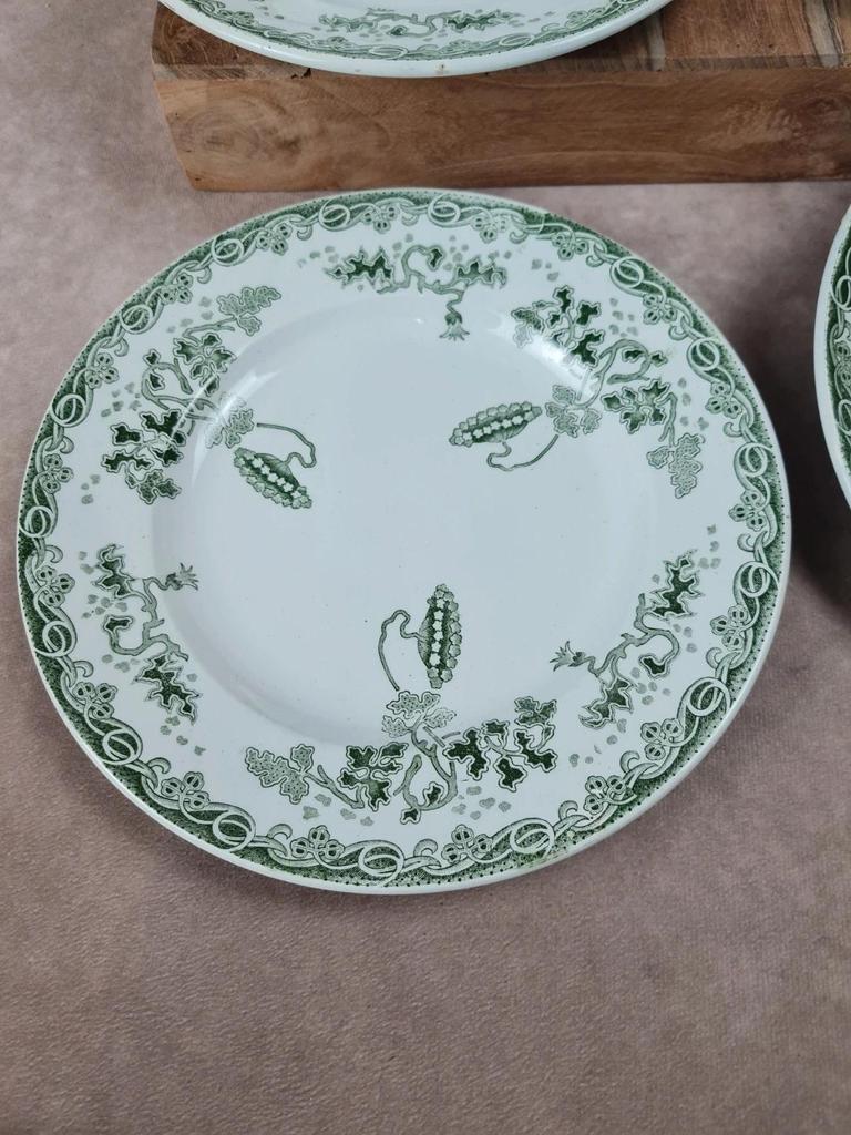 Lot de 6 assiettes Saint-amand & Hamage – Modèle Modern-style 🌿