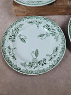 Lot de 6 assiettes Saint-amand & Hamage – Modèle Modern-style 🌿