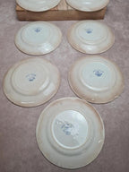 Lot de 9 assiettes dessert anciennes Creil Montereau Marie Louise Terre de Fer bleu