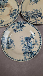 Lot de 5 assiettes plates anciennes Vieillard & Cie Bordeaux, décor Clématite