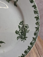 Assiette plate terre de fer Saint-amand – Modèle Denise – Décor vert