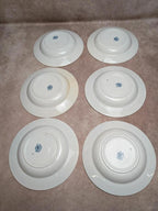 Lot de 6 assiettes creuses Terre de Fer St Amand modèle Andrinople