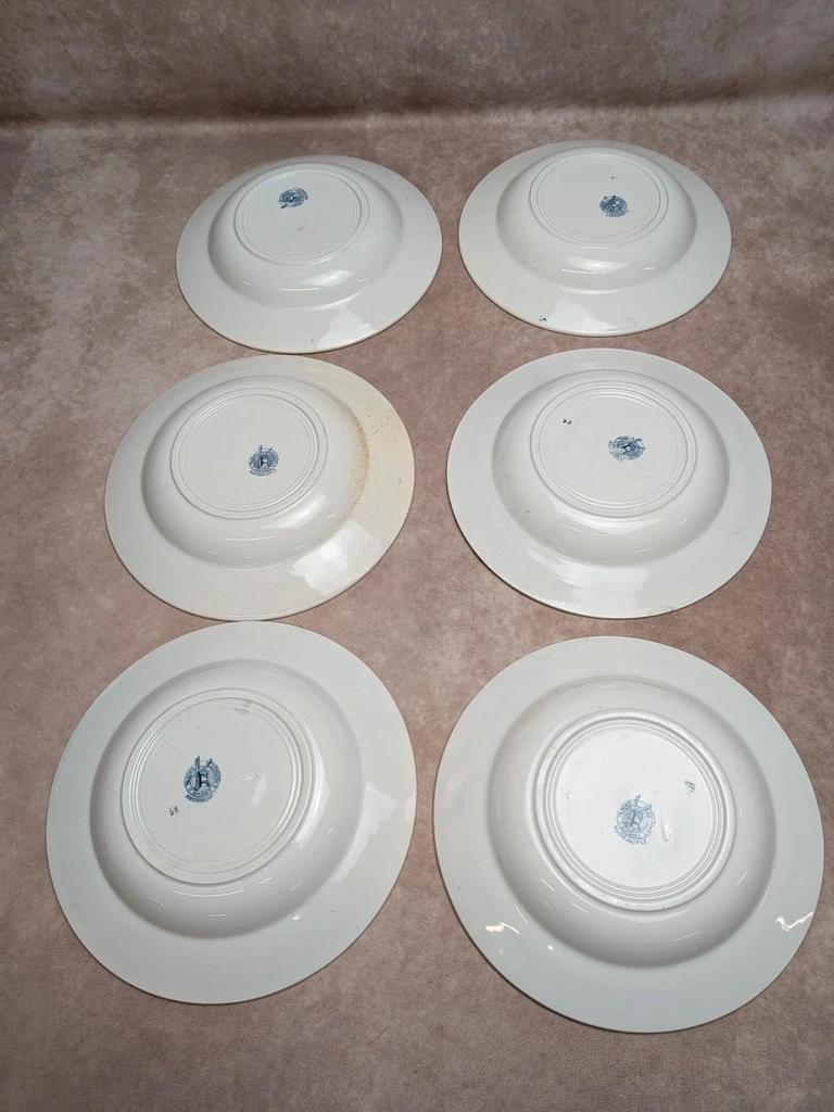 Lot de 6 assiettes creuses Terre de Fer St Amand modèle Andrinople