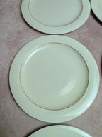 Lot de 6 assiettes plates Opaceline Salins vintage