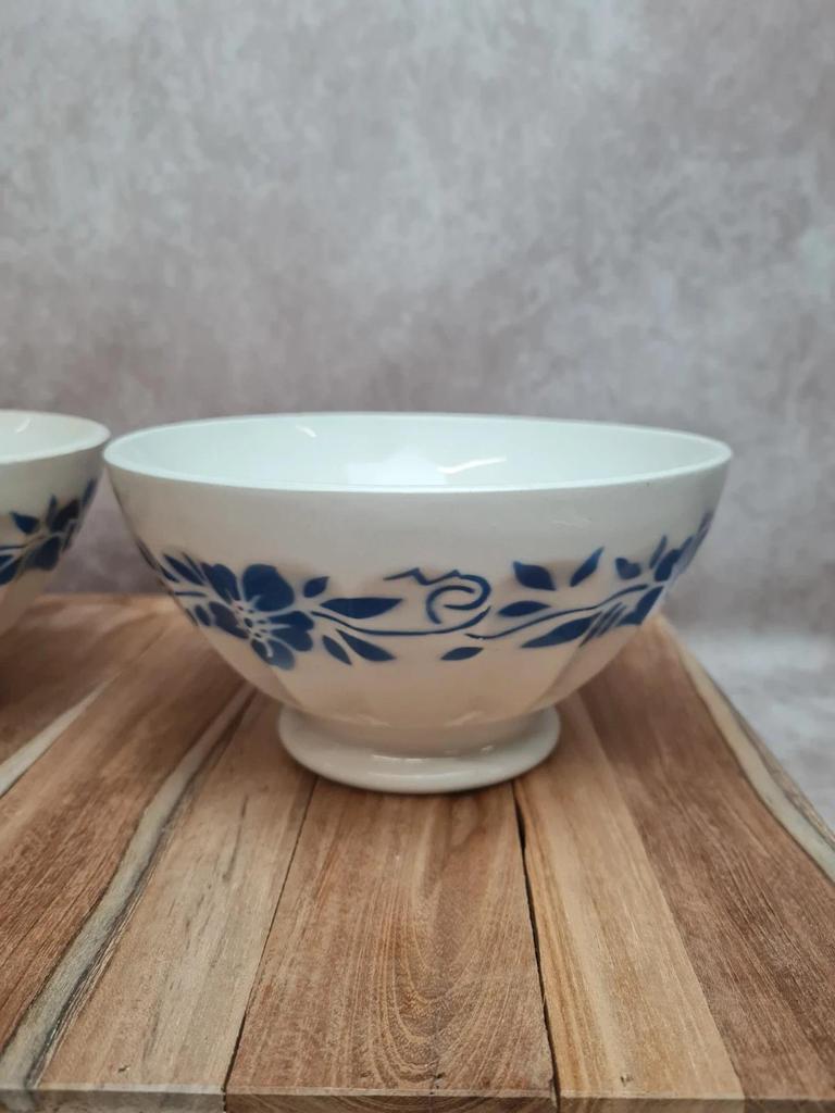 Paire de bols anciens Terre de fer décor floral bleu 💙