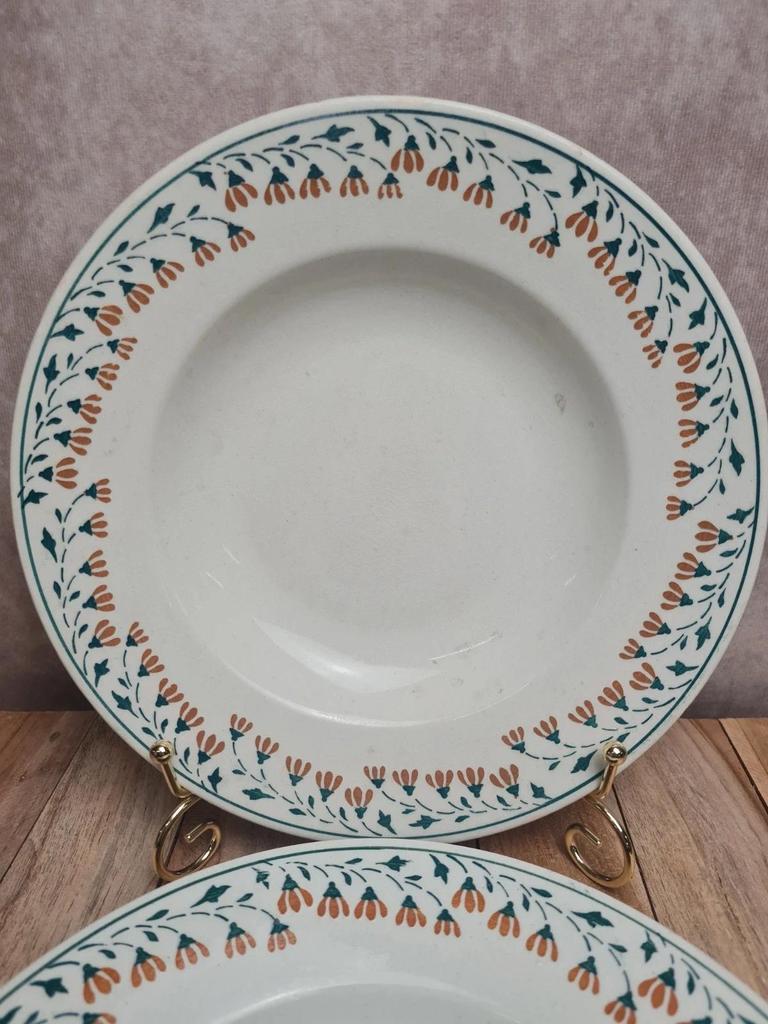 Lot de 2 assiettes creuses Kg Lunéville modèle Moselle 🌿🍂 terre de fer