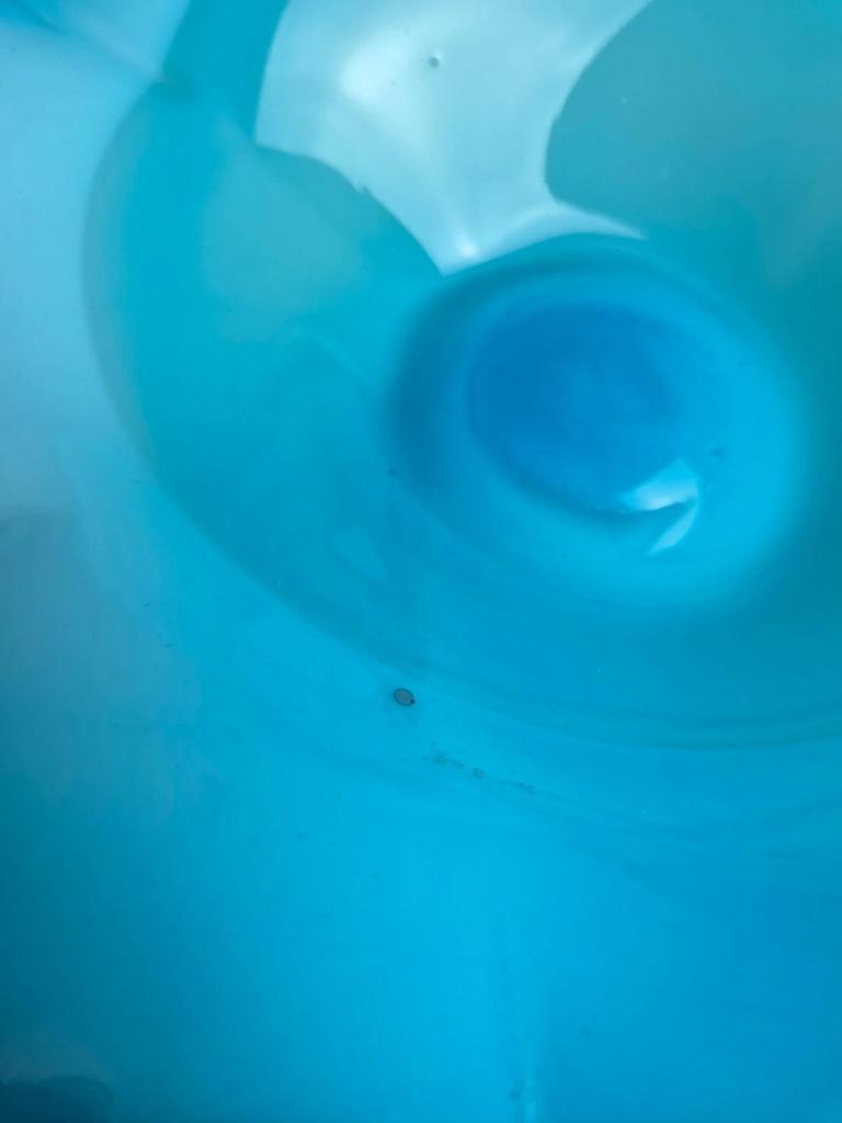 Grande coupe vintage en verre soufflé turquoise – style Murano – fleur appliquée
