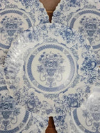 Lot de 6 assiettes plates Arcopal Honorine 💙