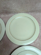 Lot de 6 assiettes plates Opaceline Salins vintage