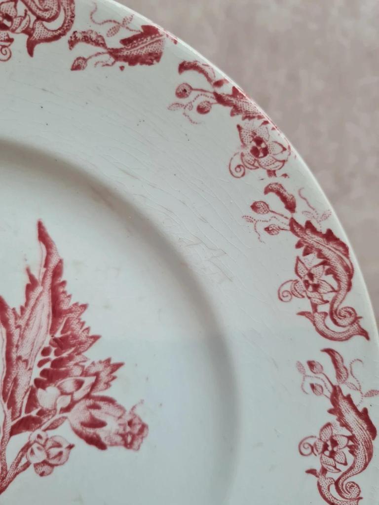 Assiette ancienne Saint-amand modèle Richelieu rouge – charme vintage 🌿