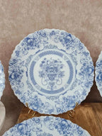 Lot de 6 assiettes plates Arcopal Honorine 💙