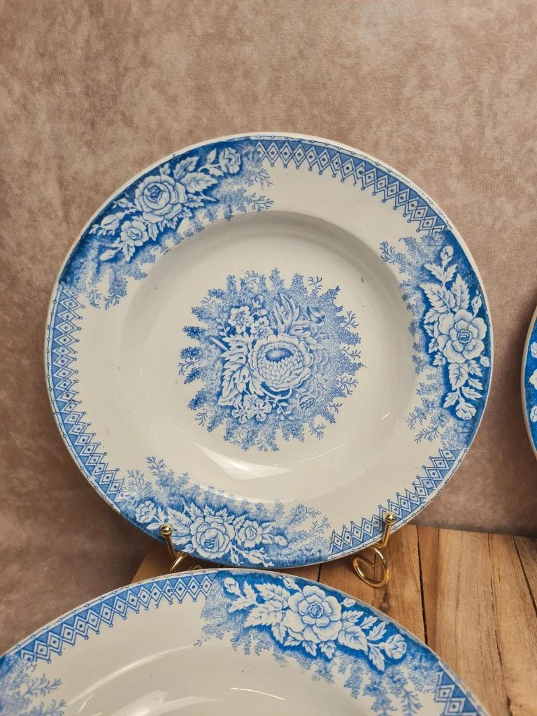 Lot de 9 assiettes creuses anciennes Saint-amand & Hamage modèle Jardinière 🌿